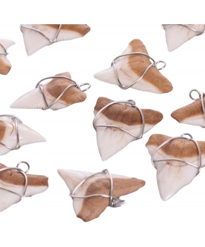 Shark Tooth on Puka Shell Beads Necklace (18" 3U) WC & RST $11.57 Necklaces