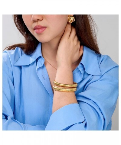 Gold Bangle Bracelets Set for Women Non Tarnish, 3Pcs Stackable Bracelets & Irregular Earrings, Flex Snake Dainty Bracelets T...