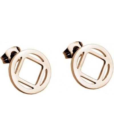 NA Earring Recovery Sobriety Gift Narcotics Anonymous Jewelry NA Earring Rose Gold $9.00 Earrings