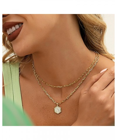 Initial Necklaces for Women Trendy,14K Real Gold Plated Layered Dainty Choker Necklace Cubic Zirconia Coin Letter A Pendant J...