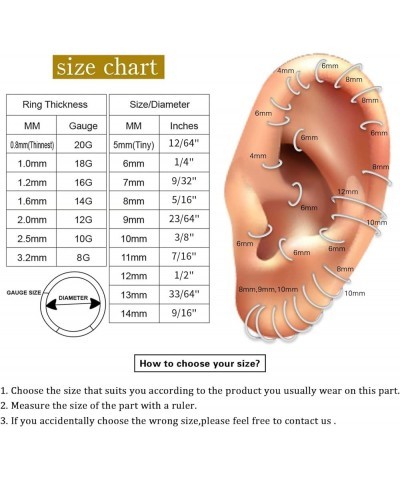 S/S Double Nose Ring Hoop Higned Segment Clicker Ring Helix Earrings Conch Hoop Ring Rook Earring 16G Surgical Steel Cartilag...