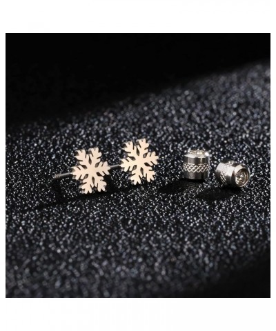 Winter Snowflake Christmas Earrings Stud for Women's, Titanium Screw Back Stud Earrings Jewellery Gifts, Hypoallergenic Surgi...