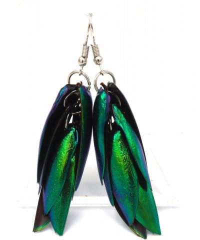 Insect Wings Earring Real Natural beetle bug insect Jewel Beetle Bug Insect Wings Iridescent Blue Green Earrings Bug $9.34 Ea...