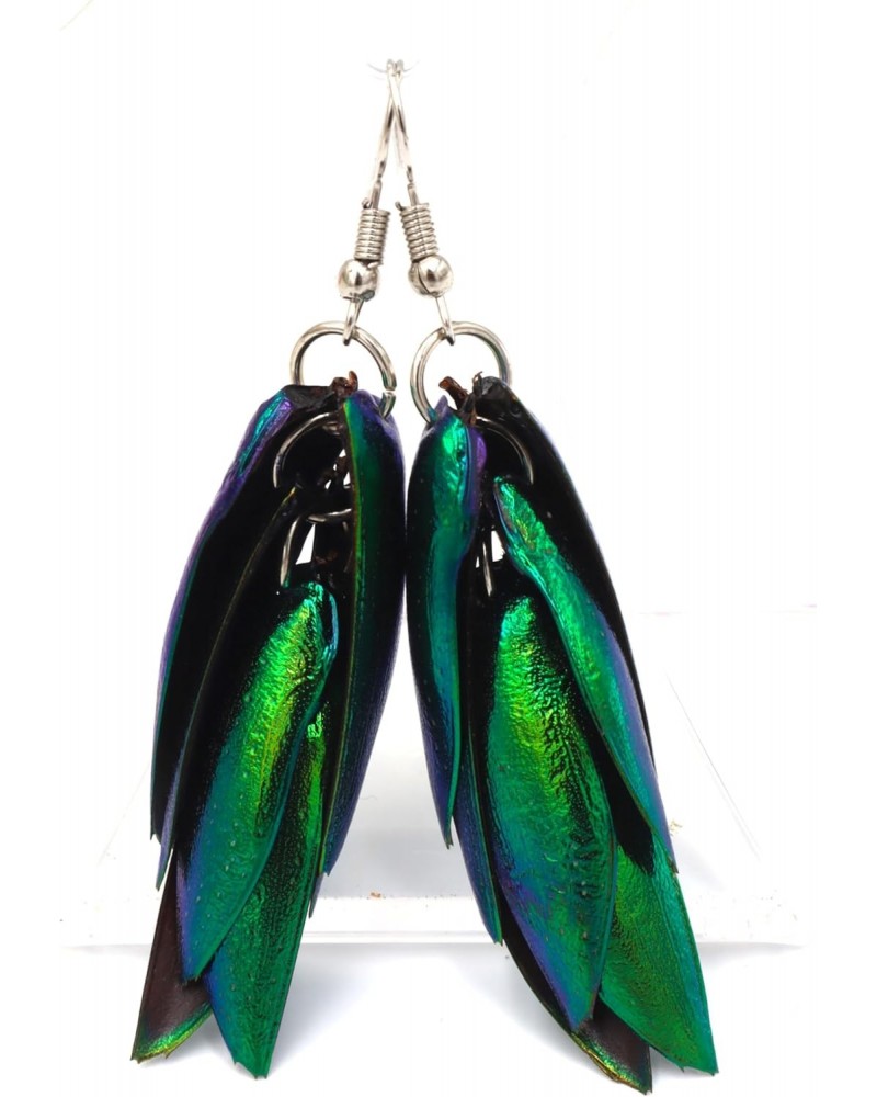 Insect Wings Earring Real Natural beetle bug insect Jewel Beetle Bug Insect Wings Iridescent Blue Green Earrings Bug $9.34 Ea...