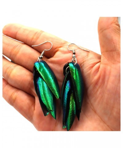 Insect Wings Earring Real Natural beetle bug insect Jewel Beetle Bug Insect Wings Iridescent Blue Green Earrings Bug $9.34 Ea...