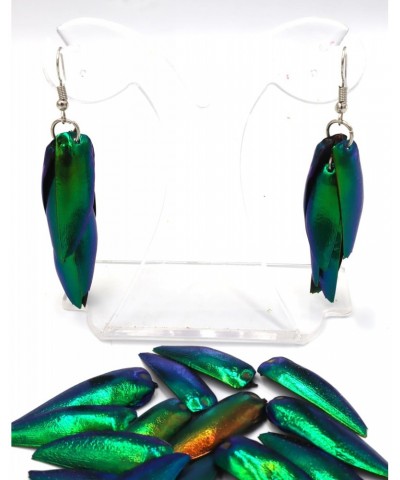 Insect Wings Earring Real Natural beetle bug insect Jewel Beetle Bug Insect Wings Iridescent Blue Green Earrings Bug $9.34 Ea...