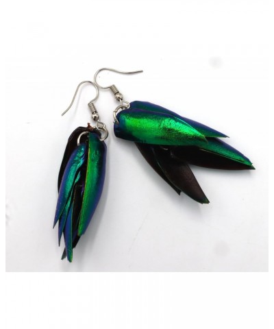 Insect Wings Earring Real Natural beetle bug insect Jewel Beetle Bug Insect Wings Iridescent Blue Green Earrings Bug $9.34 Ea...